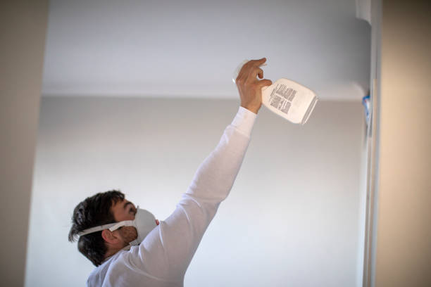 Trusted Frederick, MD Mold Remediation Experts