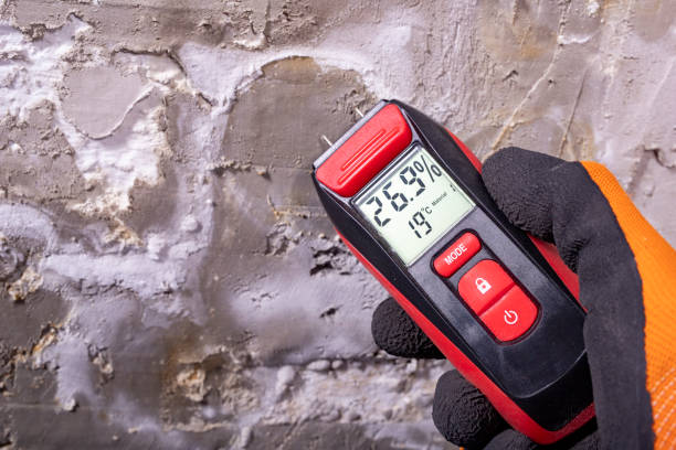Best Emergency Mold Remediation in Frederick, MD
